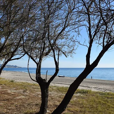Accomodati - E 4* Marina di Gioiosa Ionica